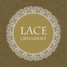 Vector lace ornament background N22