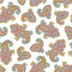 pattern of paisley N8