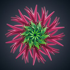 microbiological organic shape virus macro N4