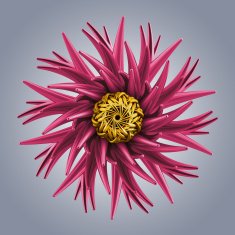 microbiological organic shape virus macro N5