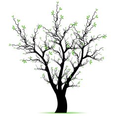 Spring Tree N11