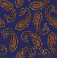 pattern of paisley N10