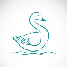 Vector image of swan
