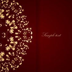 Elegant background with lace ornament N4