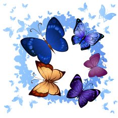 Background of colorful butterflies flying N4