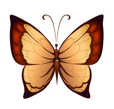 Vector colorful butterfly N4