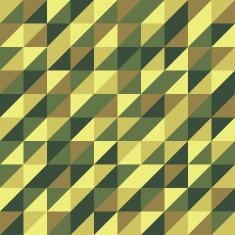 Vintage geometric Retro pattern N2