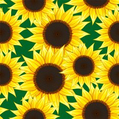 sunflower seamless pattern