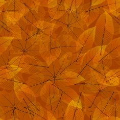 Transparent Autumn Leaves plus EPS10 N10