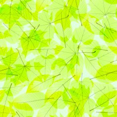Transparent Autumn Leaves plus EPS10 N11