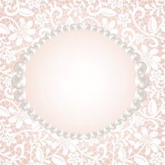 lace frame N13