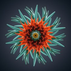 abstract 3d flower isolated object N6