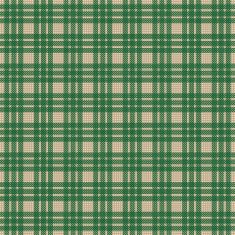 Checked seamless pattern N25