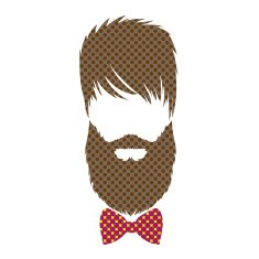 Fashion silhouette hipster style vector illustration N16