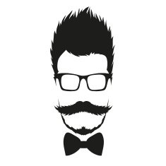 Fashion silhouette hipster style vector illustration N17