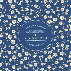 Lable card N4