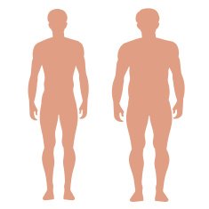 Slender and full male figures