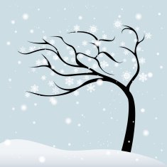 Winter Tree N13