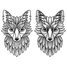 Foxes