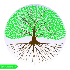 Green leafy tree in a circle Vector logo design template