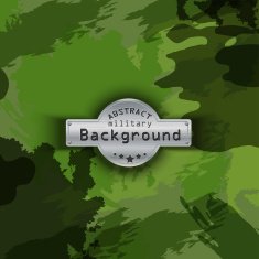 Camouflage military pattern background Vector illustration EPS10 N13