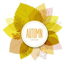 Autumn background with leaves N21