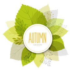 Autumn background with leaves N24
