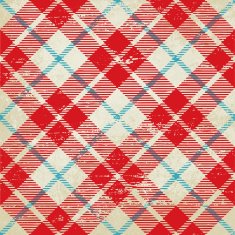 Tartan inspired vintage vector background 1
