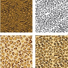 pattern of animal print N5