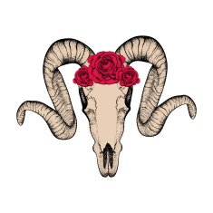 Hand Drawn goat skull with red roses doodle vector illustration