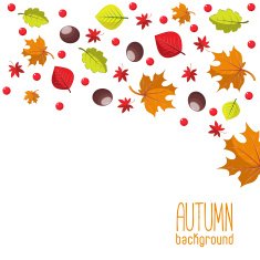 Bright autumn background for invitation or ad template with wreath N3