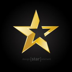 vector Gold Abstract star on black background N2