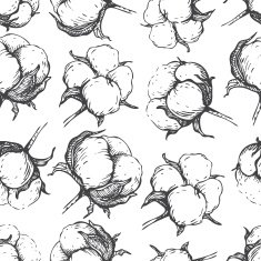 Vector seamless natural cotton engraving pattern