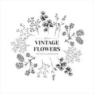 Hand drawn herb composition Floral template Vector illustration N2