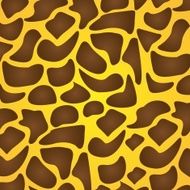 Texture of Zebra N2