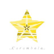 Vector of fruit carambola icon