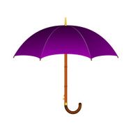 Purple umbrella