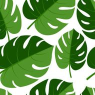 Beautiful seamless tropical jungle floral graphic backg N6