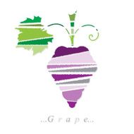Vector of fruit grape icon