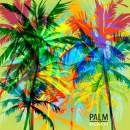 palm beach N10
