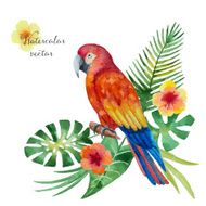 Watercolor parrot flowers and leaves