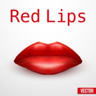 Beautiful luscious red lips Vector Illustration