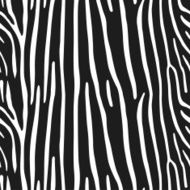 Zebra seamless pattern vector monochrome background