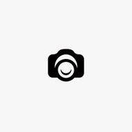 Camera Icon N82