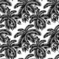 Vector illustration Seamless black and white palm leaves fru