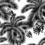 Vector illustration Seamless black and white palm leaves fru N2