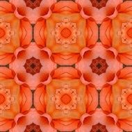 Red decorative background tile with pencil drawing details