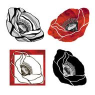 Poppies Set with watercolor elements