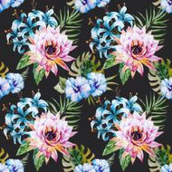 tropical pattern N12