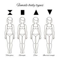 Body types